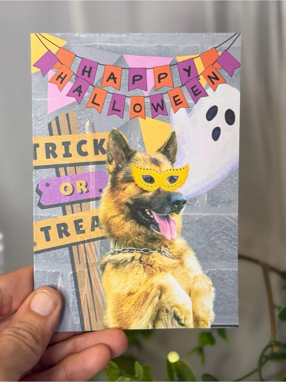 German Shepherd Halloween Greeting Cards Trick or Treat Blank Inside Set of 10